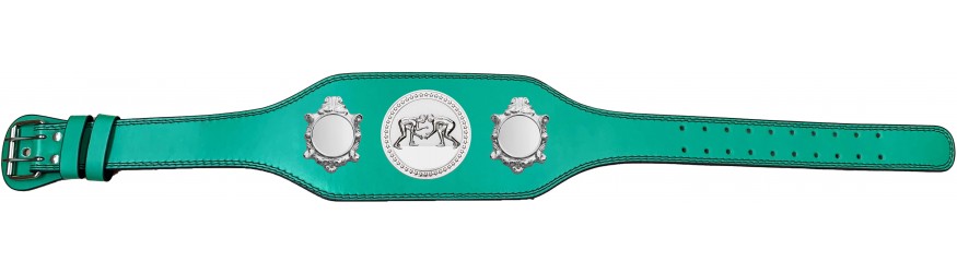 GRAPPLING CHAMPIONSHIP BELT-BUD003/S/GRAPS-4 COLOURS